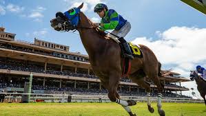 Road To 2019 Breeders Cup Three Heating Up Three Cooling