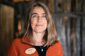 Vindelfjällen genom sökaren