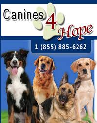 There is nothing worse than living with epilepsy and never knowing. Seizure Alert Dogs Seizure Assistance Dogs Seizure Response Dogs