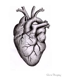 Anatomically Correct Human Heart By Niku Arbabi Embroidery Anatomical Heart Drawing Human Heart Drawing Heart Anatomy Tattoo