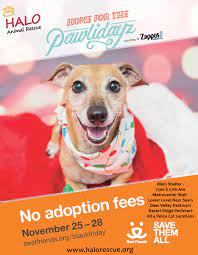 Maybe you would like to learn more about one of these? Halo Animal Rescue On Twitter Join Us Blackfriday 11 26 11 27 Cybermonday For Waived Adoption Fees At All Halo Phoenix Area Locations Thx 2 Bestfriends Zappos Https T Co Eqqmwdenvt