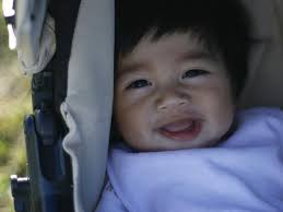 Gold Coast Bulletin 2014 Baby Book