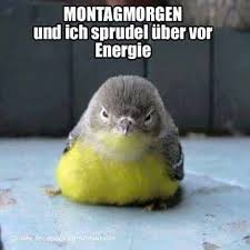 Montag Morgen Witzige Spruche Lustige Spruche Spruche
