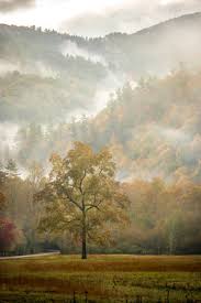 Maybe you would like to learn more about one of these? Andy Sandoval Free Loader Retired Linkedin