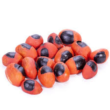 Image result for Trichilia