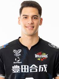 ウルフドッグス名古屋バレーボールロンT バレーボール ロンt ウルフドッグス名古屋 ウルフドッグス名古屋