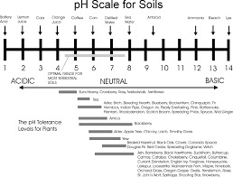 the importance of soil ph oochco