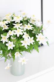 Flowers Get Wowed With An Amazing Bouquet Http Www Bloomsybox Com Blommor Vaxter Tradgard