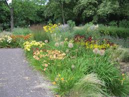 Pin Von Melanie Schellack Auf Botanischer Garten Du Hamborn Botanischer Garten Garten Ausflug