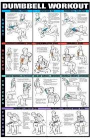 Pin By Tanya Caya On Personal Training Dumbbell Workout