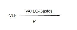 Valor Liquidativo de un Fondo de Inversión - Acciones y Valores