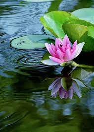 Pin On Beautiful Things
