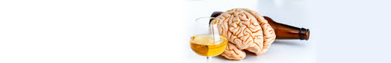Alcohol stays in your system for between one and three hours, but urine tests and breathalyzers detect alcohol use for up to 24 hours. How Long Does Alcohol Stay In Your System Blood Urine Breath