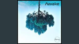 Rosehip Lyrics Song Meanings Videos Full Albums Bios Sonichits Top 1 wide awake lyrics. rosehip lyrics song meanings videos