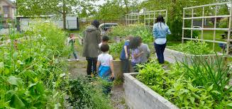 Spec School Gardens Program
