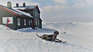 Høgevarde or høgevard is the second highest peak (1459 m) on the norefjell mountain range and the highest point in the municipality of krødsherad in buskerud, norway. Til Hogevarde Uten Klister Linns Reise Travel Blog