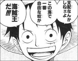 支配なんかしねェよ この海で一番自由な奴が 海賊王だ ルフィ 漫画 名言