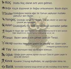 Doga Halis Adli Kullanicinin Ikizler Burcu Panosundaki Pin Burclar Ikizler Burcu Ikizler