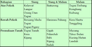 Tree Builder Ekosistem Hutan Hujan Tropika Tanah Pamah