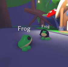 Gamers can obtain pets roblox's adopt me. Adopt Me On Twitter Me You Shouldn T Post All The Pet Accessories At Once Let People See Them In Game Also Me Post It All