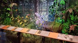 Play Area Picture Of The Peggy Notebaert Nature Museum Chicago Tripadvisor