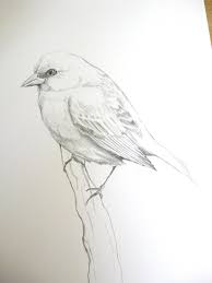 Draw the essence of the pose first and work on details later. Ang Ibon Bow Color This Or Leave It Be Peanutbrittle Diaries