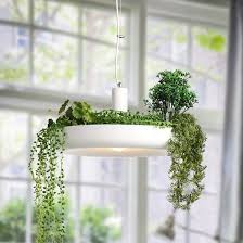 Hanging Garden Plant Pendant Light Hanging Garden Hanging Plants Plant Lighting