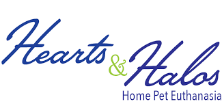 Our cat, lucky, suddenly got very ill on the friday before. Home Pet Euthanasia Hearts Halos By Choicevet