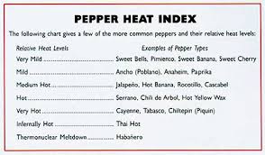 A Pepper Primer Peppers Still The Hottest Thing In