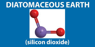 Can i use de to control emerging cherry fruit flies whose pupae currently exist within the soil / grass how to build a natural swimming pool. Sand Vs De Pool Filters Mywaterearth Sky
