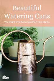 These Watering Cans Are So Pretty You Ll Want To Keep Them On Display Watering Can Indoor Plants Watering