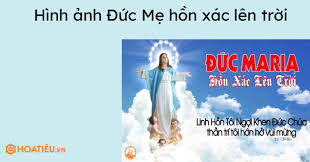 Những nẻo đường của tuổi trẻ. Vzpgi522abdahm