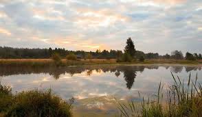 Search our nowy staw, poland catholic directory database and connect with the best catholic churches and other catholic directory professionals in nowy staw, poland. Nowy Staw Gmina Niemce