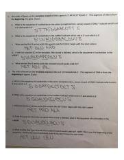 Transcription and translation worksheet 2 transcription and translation worksheet answers back side, dna replication transcription and translation worksheet answers, dna replication transcription translation worksheet, dna transcription and translation worksheet answers pdf, replication transcription translation review worksheet answers, image. Homework Transcription And Translation Answers Mcb 2410 Additional Problems You Have Just Sequenced A Short Segment Of Dna You Wish To Analyze This Course Hero