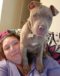 Happy belated 2nd birthday to a 2-year-old dog