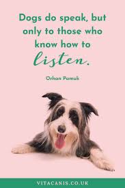 Meaningful Dog Quote For Dog Lovers Brighten Your Day With This Dog Mom Quote Vita Canis A Girl And H In 2020 Dog Quotes Inspirational Dog Quotes Short Dog Quotes