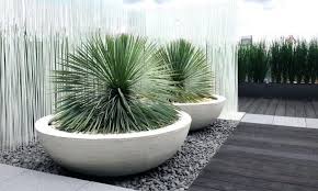 Making Big Concrete Planters Making Large Concrete Planters Diy Large Round Concrete Plant Contemporary Planters Modern Planters Outdoor Large Outdoor Planters