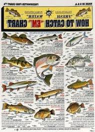 Tightline Publications Fishermans Freshwater Fish Chart