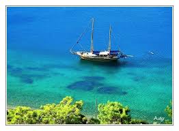 Mazi Bodrum
