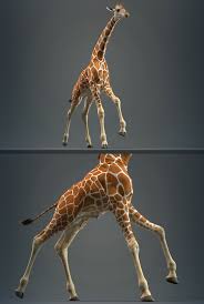 Giraffe 3d Model In 2020 Giraffe Model 3d Model