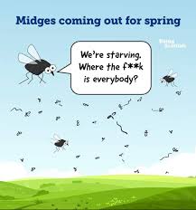 It is believed that the first recorded evidence of the use of midges to hunt was during the middle ages. Meanwhile In Scotland Funny