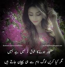 Love poetry quotes about life in urdu. Pin On Syedmohsinraza