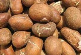 Kola Nut Cola Acuminate Also Known As Cola Nut Or Bitter Cola Is The Seed Of The Brown Colored Chestnut Like Fruit Of The Cola Nut Benefits Health Food