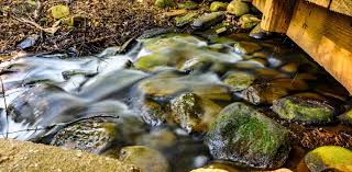 Hatcher garden & woodland preserve: Photo Video Hatcher Garden