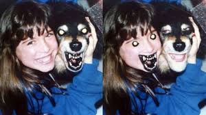 Make sure you introduce them slowly and let your horse get to know the. 10 Dog Face Swaps That Will Totally Break Your Brain And 1 Weird Cat The Dog People By Rover Com