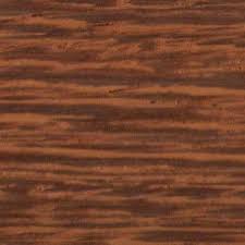 Image result for Millettia stuhlmannii