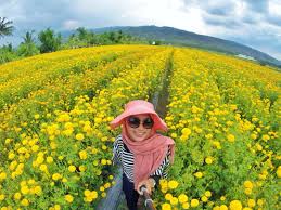 Background pemandangan taman bunga kartun 7 background sumber : 7 Taman Bunga Paling Romantis Cocok Dikunjungi Bersama Pasangan