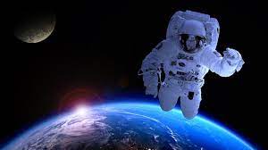 Laika, a stray dog found in moscow, was launched aboard the soviet satellite sputnik 2 in 1957 and reportedly died just hours into the voyage. Who Was The First Commercial Astronaut Trivia Questions Quizzclub