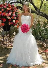 10 Biggest Wedding Expenses Ball Gowns Wedding Wedding Dress Champagne Wedding Dress Pictures