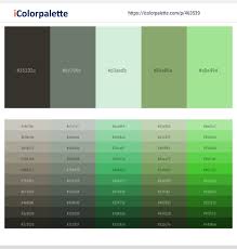 Chances are we missed some really great ones as there are more than 5,000 green palettes on the site. 19 Latest Color Schemes With Slate Gray And Light Green Color Tone Combinations 2021 Icolorpalette